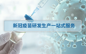 新冠疫苗研發生產一站式服務 新冠疫苗研發生產一站式服務
