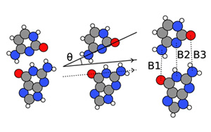 量子生物學(xué)家發(fā)現(xiàn)，酶可能是理解DNA突變的關(guān)鍵