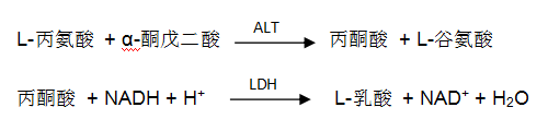 谷丙轉氨酶（ALT）檢測原理