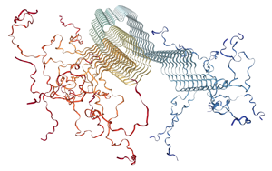 PNAS：一種新的檢測方法有望早期發現帕金森病