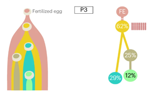 Nature Biotechnology：精確測量癌癥的進(jìn)化，定義分析腫瘤基因組成的最佳算法