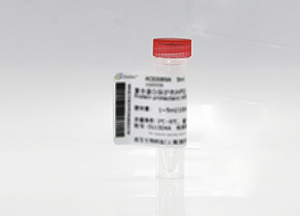 維生素B12鼠抗體